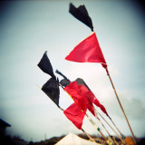 Seaflock Photographie par Craig Roberts
