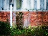 Side of Derelict Buidling with Drainpipe Photographic Print by Clive Nolan