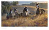 Amazing Grays III Poster von Nancy Glazier