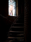 Spiral Staircase Photographic Print by Nathan Wright