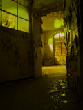 Peeling Room Photographic Print by Nathan Wright