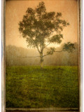 Craig Satterlee - Aloneloop Fotografická reprodukce