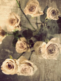Still Life #4 Lámina fotográfica por Tracy Edgar