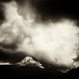 Innofeed Photographic Print by David Baker