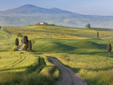 Track, San Quirico D'Orcia, Val D'Orcia, Tuscany, Italy Photographic Print by Peter Adams Track, San Quirico D'Orcia, Val D'Orcia, Tuscany, Italy Photographic Print by Peter Adams