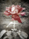 Views of Andalusia, Spain Photographic Print by Felipe Rodriguez
