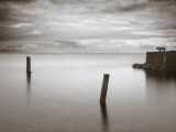 Jumptune Photographic Print by David Baker