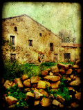 Adam Photographic Print by Cristina Carra Caso