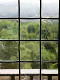 View Through Old Window Panes Photographie par Felipe Rodriguez