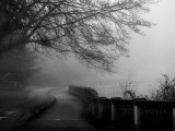 Wandering, Dreaming Fotografie-Druck von Sharon Wish