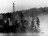 The Invisible Photographie par Sharon Wish