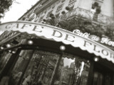 Cafe De Flore, Boulevard St. Germain, Paris, France Photographic Print by Jon Arnold
