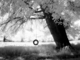 Aiveo Photographic Print by Craig Satterlee