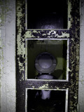 No Privacy! Photographic Print by Nathan Wright