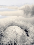 Blogverse Photographic Print by Craig Satterlee