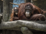 Family Photographie par Stephen Arens