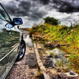 Nature 1 Photographic Print by Brian Stevenson