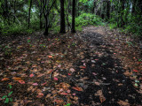 Lalith Photographic Print by Traer Scott