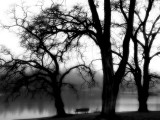 Edgebuzz Photographic Print by Sharon Wish