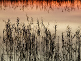 Views of Andalusia, Spain Photographic Print by Felipe Rodriguez
