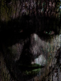 Young Nature Photographic Print by Nathan Wright
