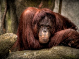 Relax Photographic Print by Stephen Arens