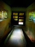 Wheel Chair Ramp Photographic Print by Nathan Wright