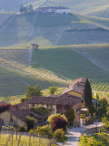Hillsides Covered with Vineyards, Nr Castiglione Falletto, Piedmont, Italy Photographie par Peter Adams