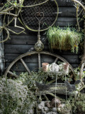 Voovu Photographic Print by Tim Kahane