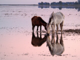 Views of Andalusia, Spain Photographic Print by Felipe Rodriguez