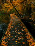 Abaveo Photographie par Jim Crotty