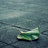 Babbelute Photographic Print by Cristina Salas Mendoza