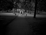 Twitterpoint Photographic Print by Craig Satterlee