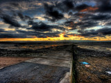 Nature 12 Photographic Print by Brian Stevenson
