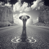 Get Your Tricks Fotografie-Druck von Luis Beltran