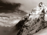 Livepoint Photographic Print by David Baker