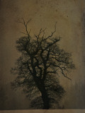 Gigabox Photographic Print by Tim Kahane