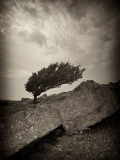 Eander Photographic Print by David Baker