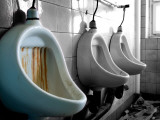 Toilete Urbex Photographic Print by Nathan Wright