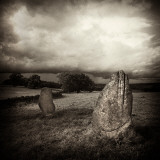 Quavee Photographic Print by David Baker