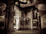 Corn Photographic Print by Stephen Arens