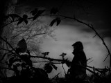 Babbleify Photographic Print by Sharon Wish