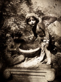 Statues of Two Young Boy Angels in Cemetery Photographic Print by Clive Nolan