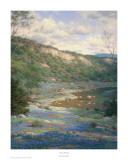 Texas Spring Posters by Larry Dyke