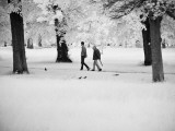 Muvee Photographic Print by Craig Satterlee
