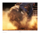 Gold Dust Prints by Karen Kelly