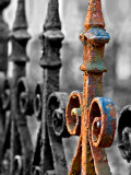 Odd One Out Photographic Print by Nathan Wright