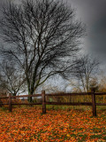 Topcat Lámina fotográfica por Jim Crotty Topcat Lámina fotográfica por Jim Crotty