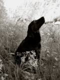 Oyoble Photographic Print by Traer Scott
