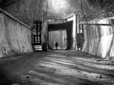 Alone Photographic Print by Nathan Wright